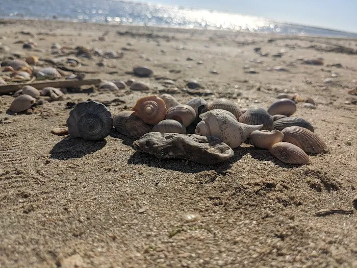 Rutherford Beach Picture 8