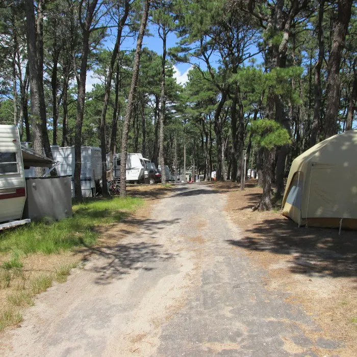 Maurice’s Campground Picture 4