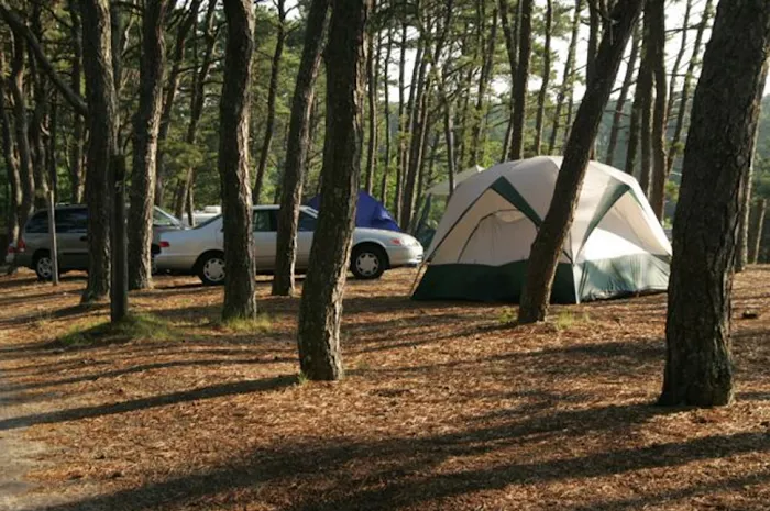 Maurice’s Campground Picture 8