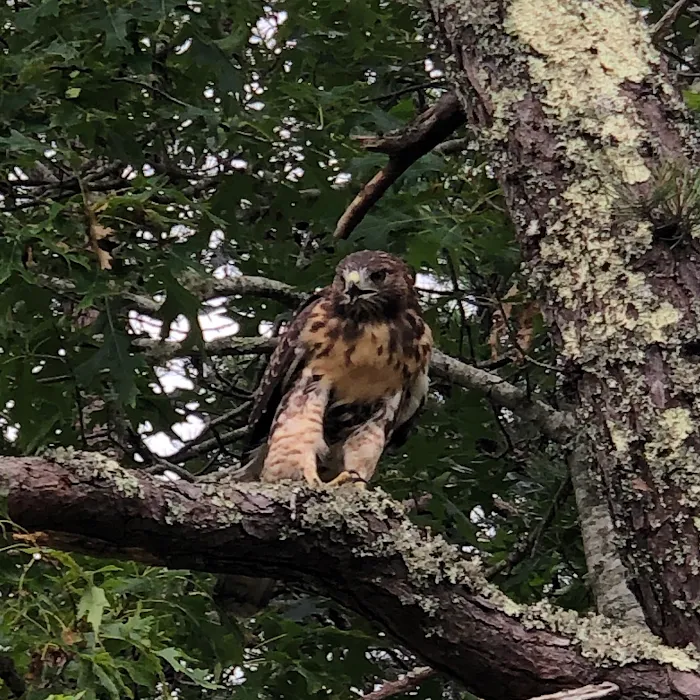 Atlantic Oaks RV Resort Picture 10