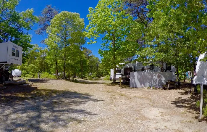 Atlantic Oaks RV Resort Picture 4