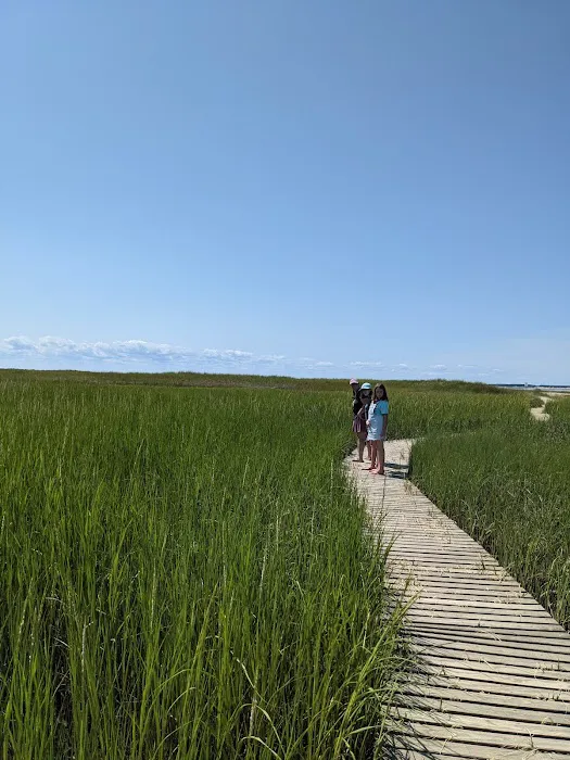 Wellfleet Hollow State Campground Picture 2