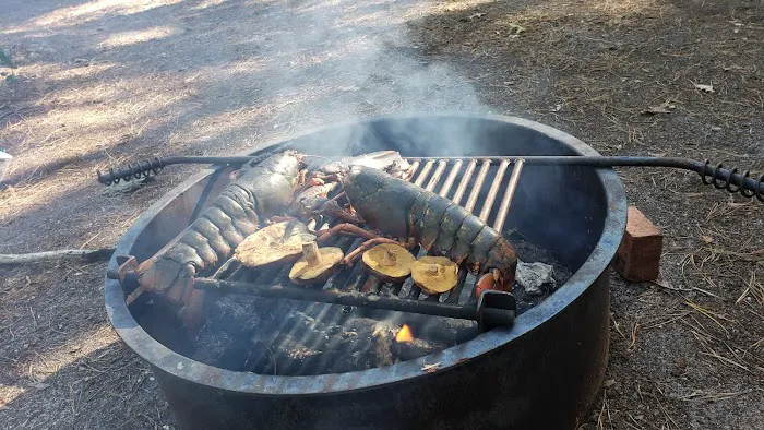 Wellfleet Hollow State Campground Picture 4