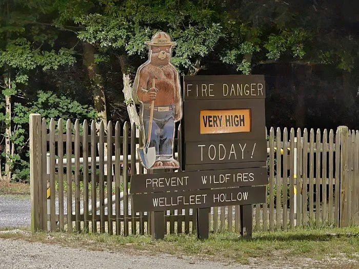 Wellfleet Hollow State Campground Picture 9