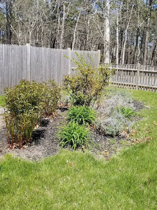 Paine's Campground Picture 9