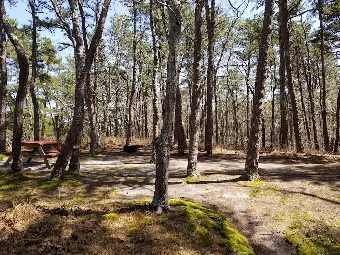 Paine's Campground Picture 7