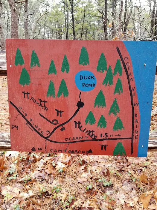 Paine's Campground Picture 8