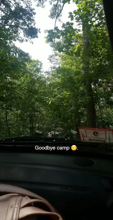 Paine's Campground Picture 5