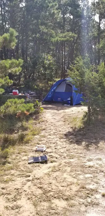 Horton's Camping Resort Picture 6