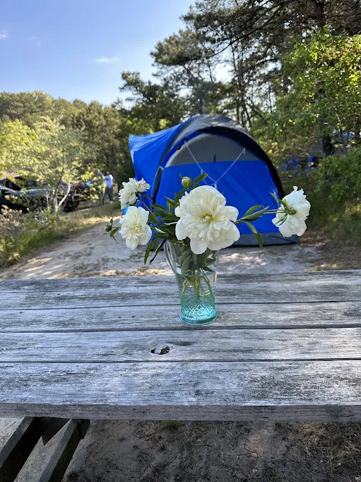 Horton's Camping Resort Picture 10