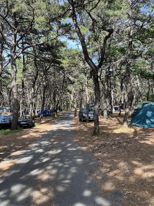 North Truro Campground Picture 2