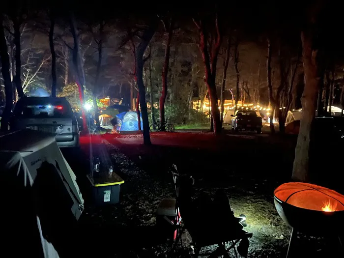 North Truro Campground Picture 1