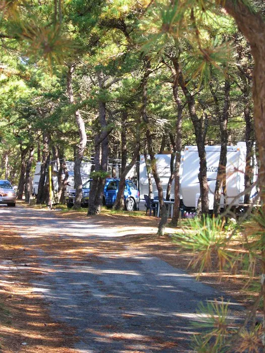 Adventure Bound Camping Resorts - Cape Cod Picture 4