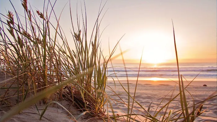 Adventure Bound Camping Resorts - Cape Cod Picture 9