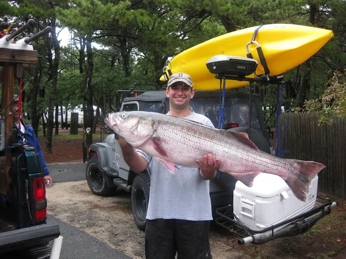 Adventure Bound Camping Resorts - Cape Cod Picture 1