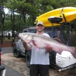 Adventure Bound Camping Resorts - Cape Cod