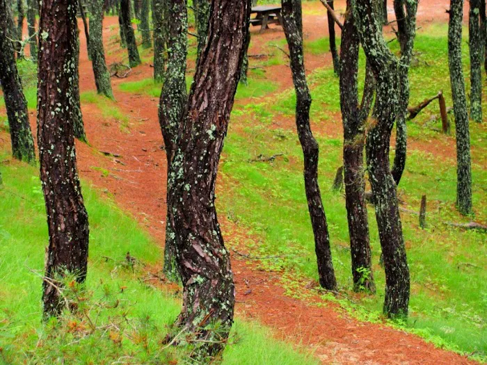 North of Highland Camping Area Picture 7