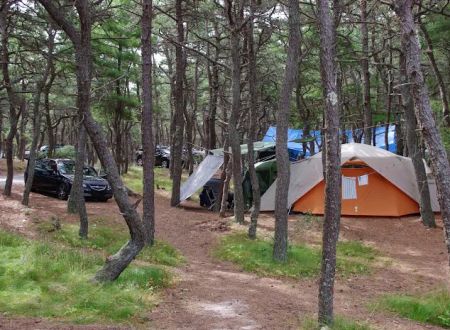 North of Highland Camping Area