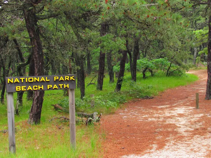 North of Highland Camping Area Picture 9