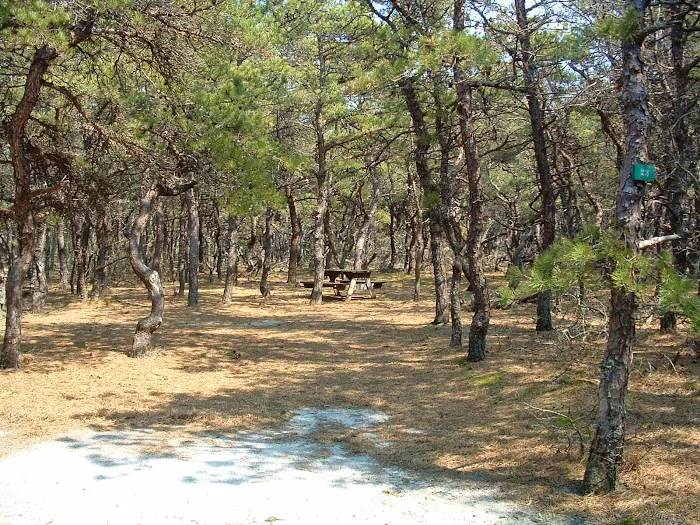 North of Highland Camping Area Picture 10