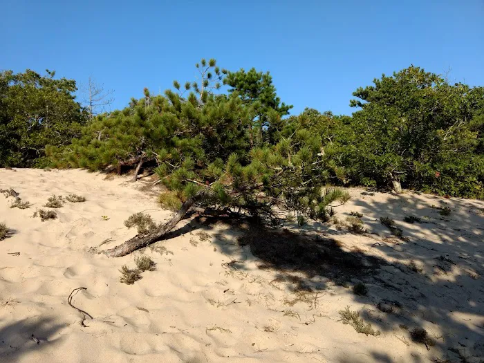 Dunes' Edge Campground Picture 7