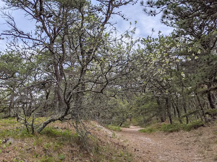 Dunes' Edge Campground Picture 9