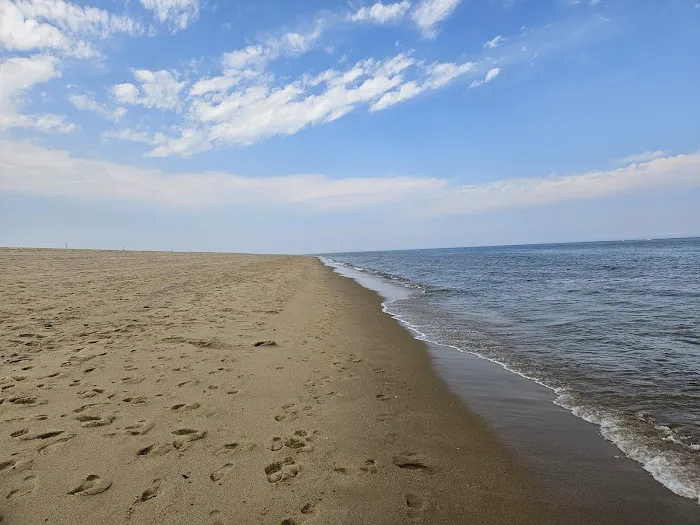 Dunes' Edge Campground Picture 5