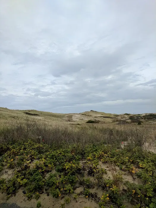 Dunes' Edge Campground Picture 4