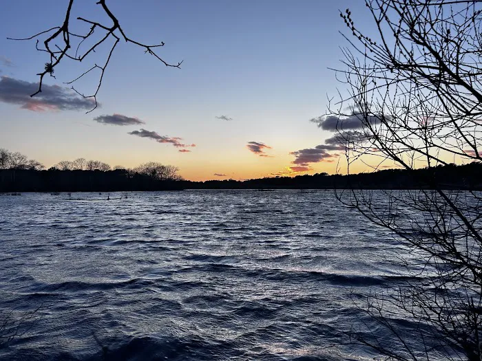 Coastal Acres Campground Picture 1