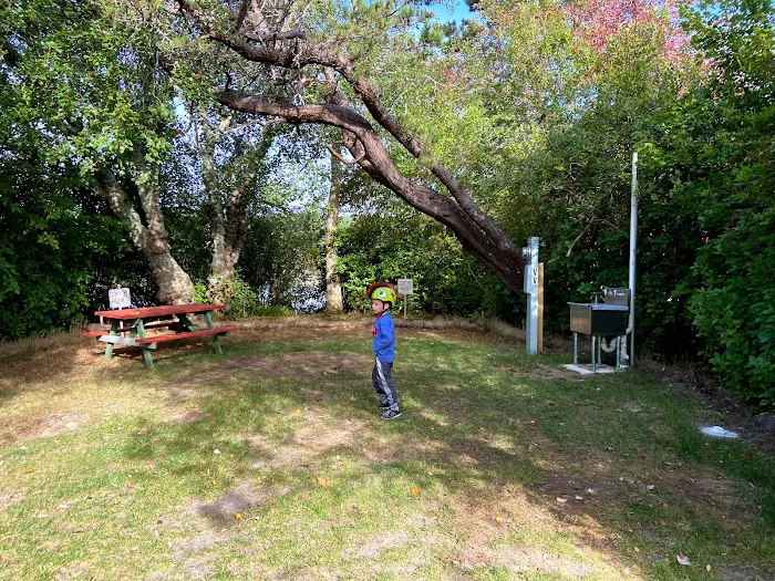 Coastal Acres Campground Picture 9