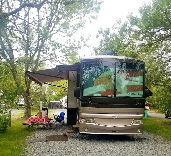 Coastal Acres Campground Picture 10