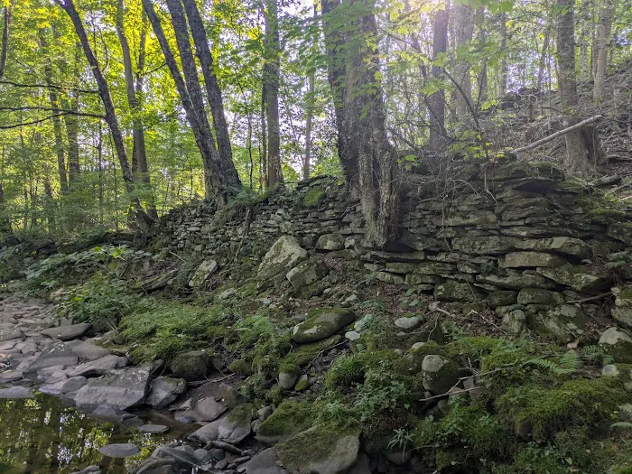 Camp Razoo Picture 2