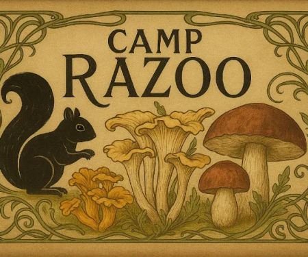 Camp Razoo