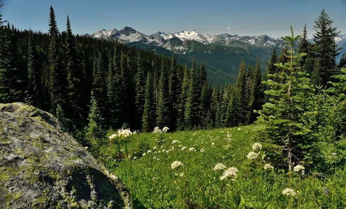 Natural Resources Department Picture 3