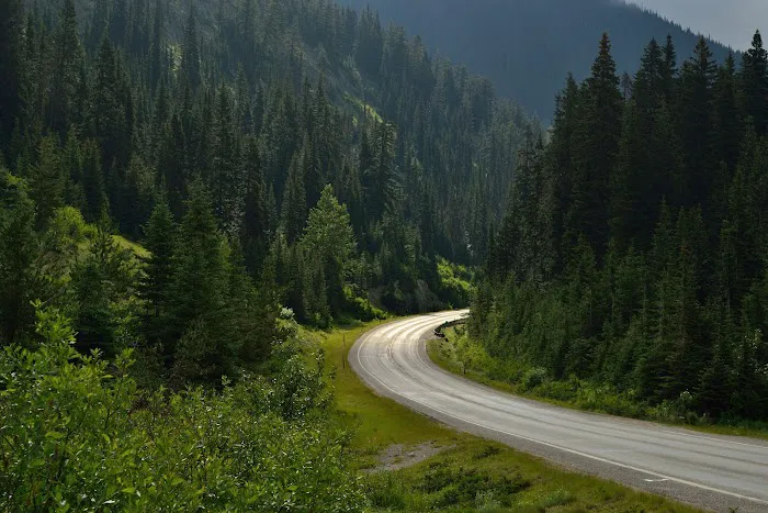 Natural Resources Department Picture 2