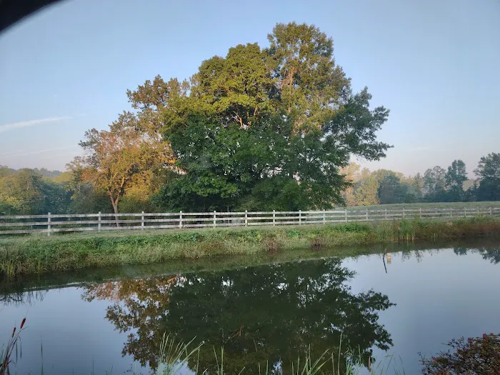 Cozy Acres Family Campground Picture 5