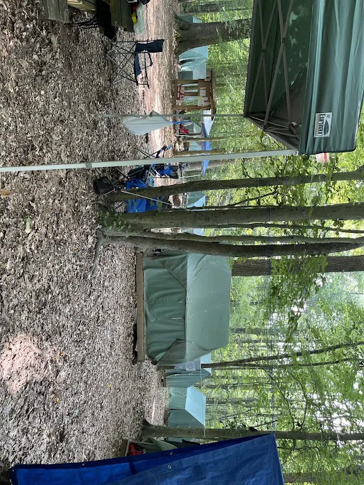 Saunders 14 Picture 3