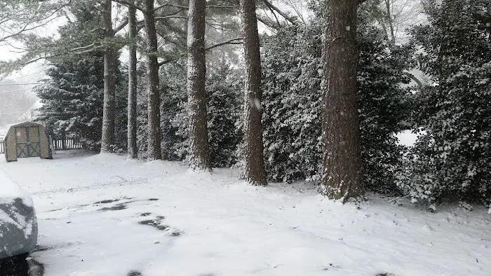 Camptown Campground Picture 6