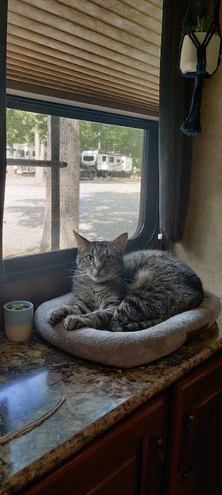 Camptown Campground Picture 4