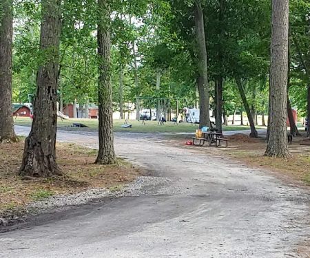 South 40 Campground