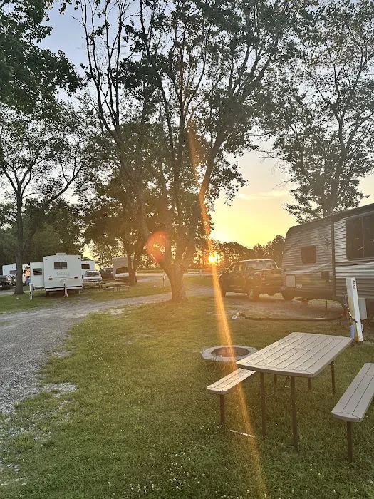 South 40 Campground Picture 9