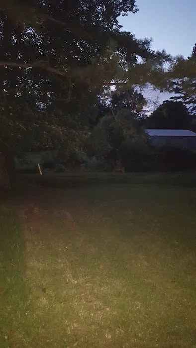 Forestry Department Picture 1