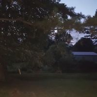 Forestry Department ico