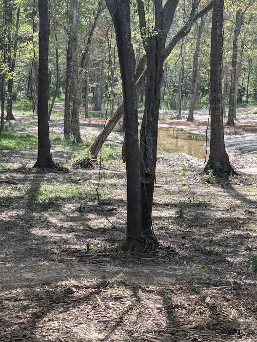 Shady Lane Campground Picture 6