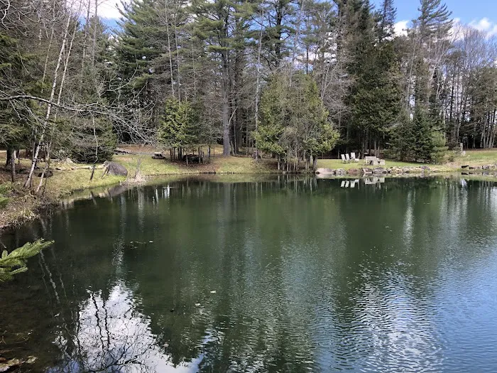 Newcomb Campground Picture 3