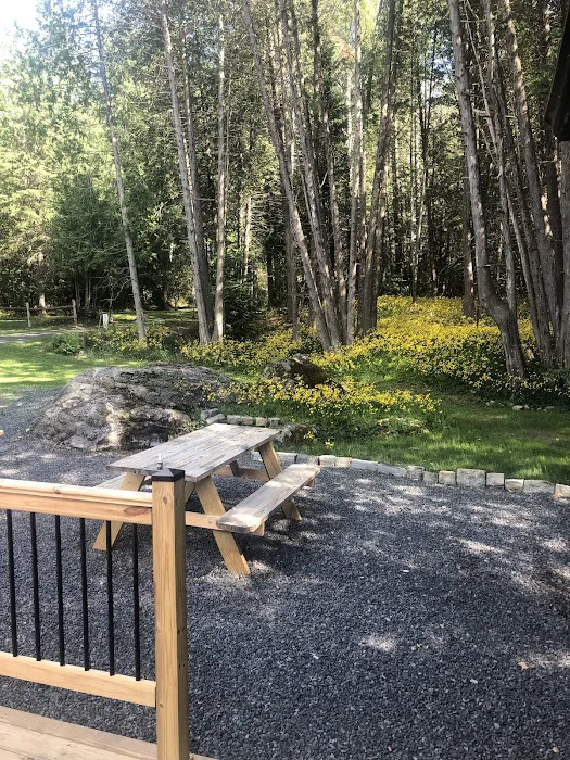 Newcomb Campground Picture 1