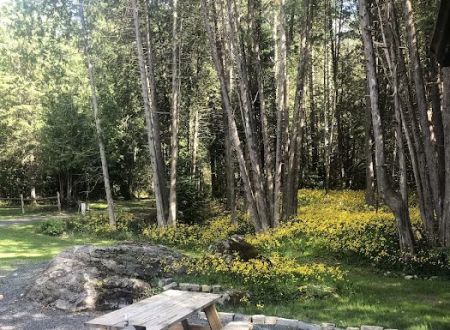 Newcomb Campground