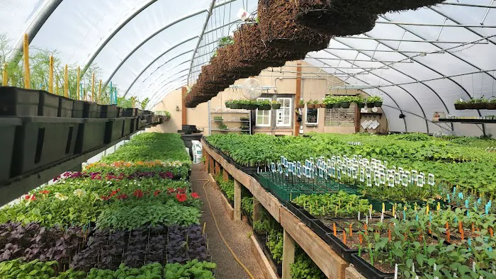 Good Root Growers Picture 6