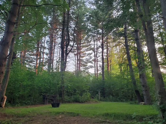 Good Root Growers Picture 10