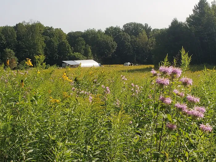 Good Root Growers Picture 2